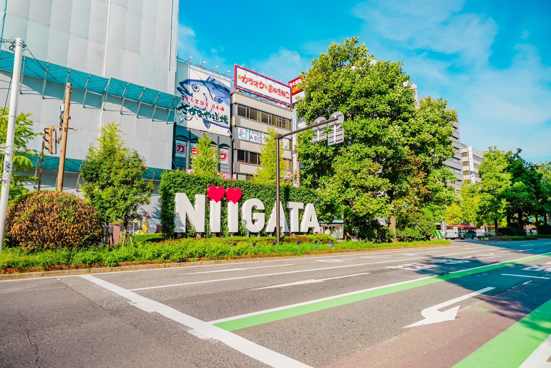 北海道新潟市中央区にある、緑豊かな大通公園とさっぽろテレビ塔の写真